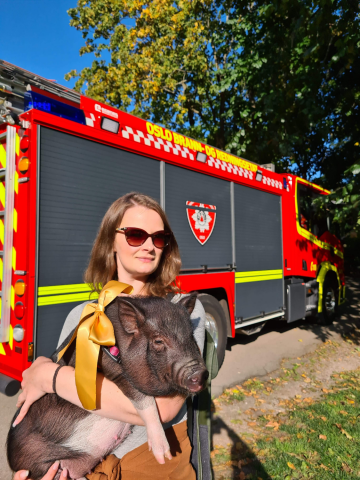 Et bilde som inneholder utendørs, gress, hund, buss


Automatisk generert beskrivelse